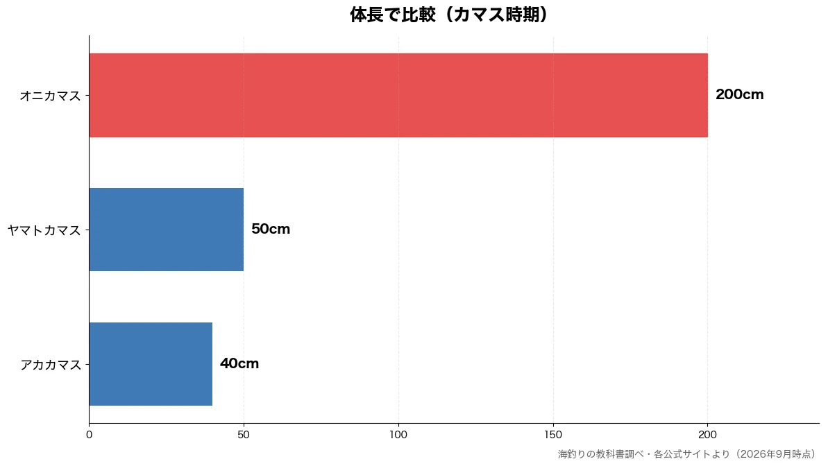 体長の比較チャート（アカカマス 40cm・ヤマトカマス 50cm・オニカマス 200cm）