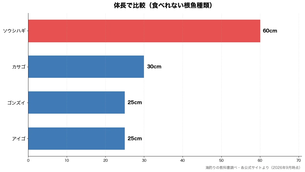 体長の比較チャート（アイゴ 25cm・ゴンズイ 25cm・カサゴ 30cm・ソウシハギ 60cm）