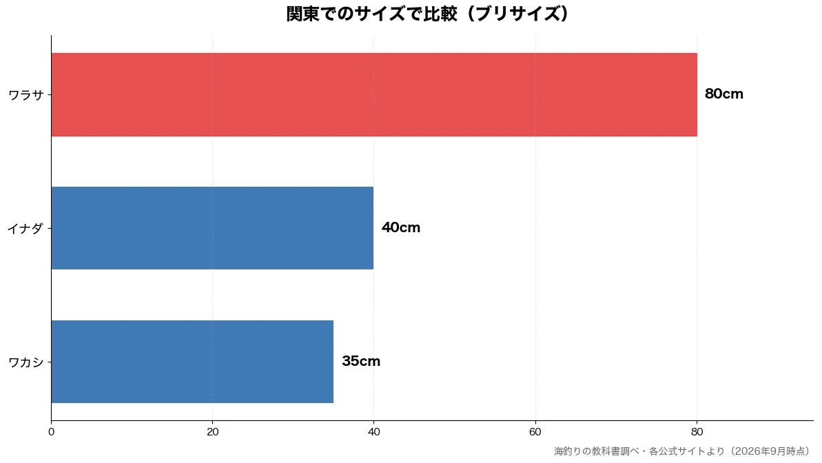 関東でのサイズの比較チャート（ワカシ 35cm・イナダ 40cm・ワラサ 80cm）