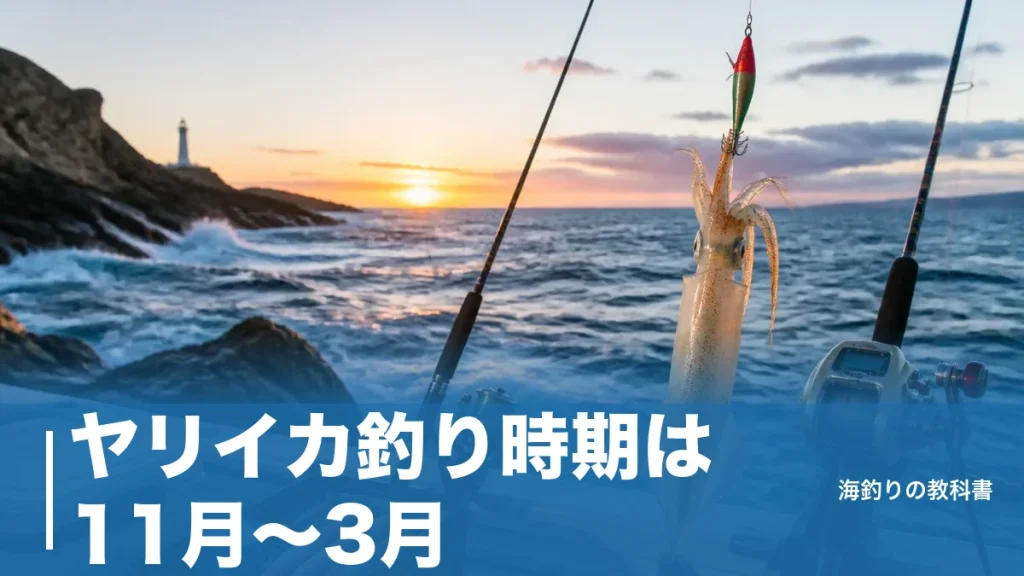 ヤリイカ釣り時期は11月〜3月｜水温15℃が接岸の合図、地域別カレンダーと釣り方の選び方のアイキャッチ画像